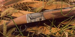 Firearms-Shotgun for hunting